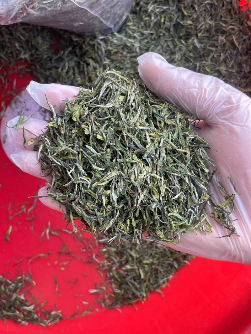 开售《信阳毛尖2025开园头采》质量可靠新茶现炒