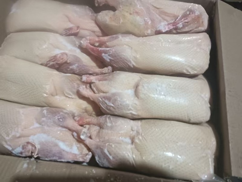 精品白条鸭厂家直发一手货源量大价优可视频看货欢迎致电