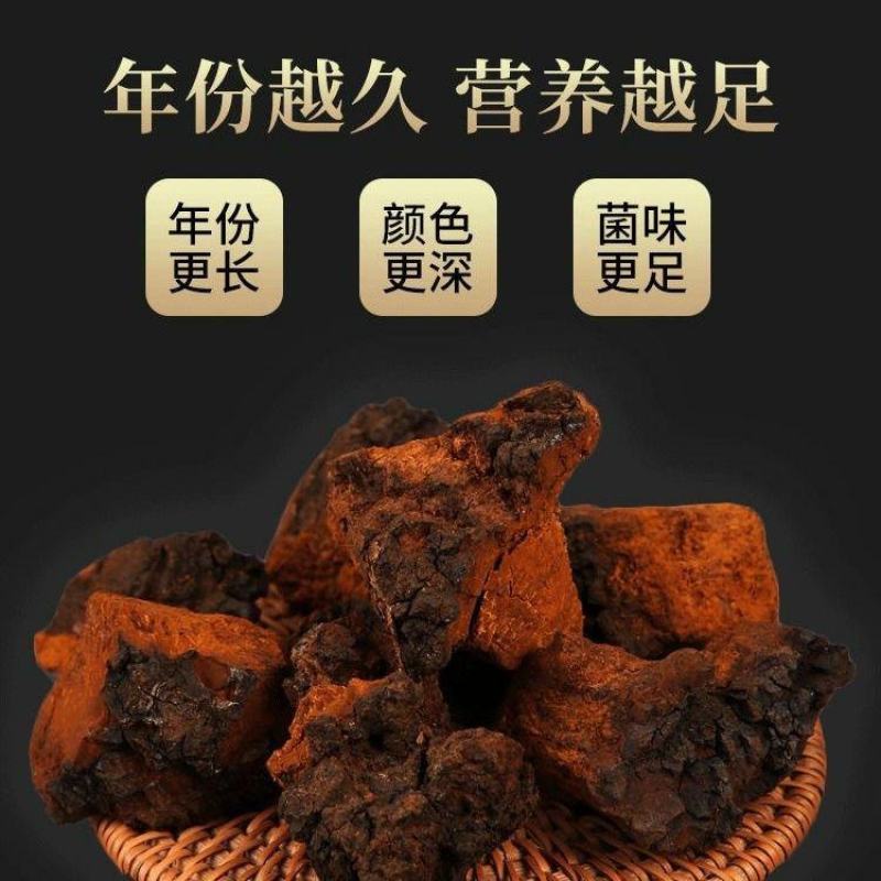 白桦茸桦树茸各种规格量大从优