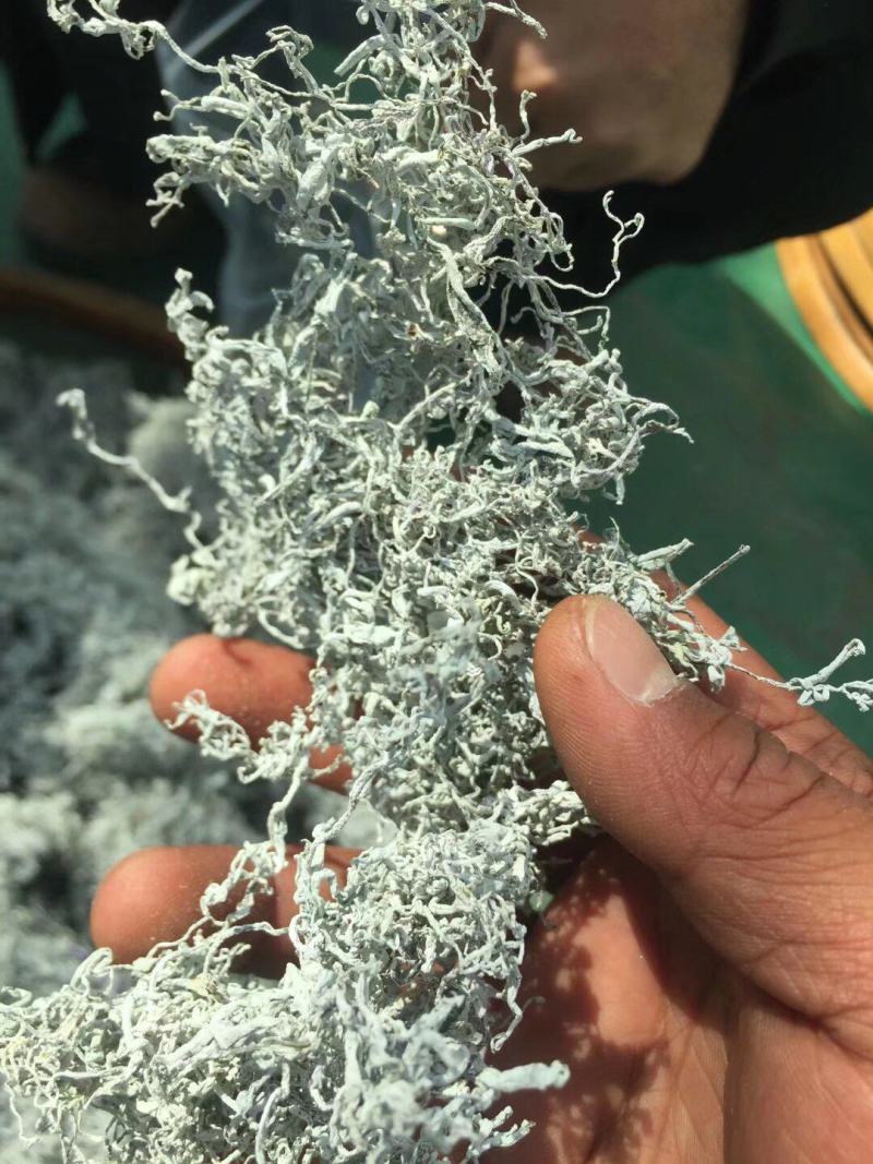 张家界原产地芽尖莓茶国家地理标志产品自产自销产地直发