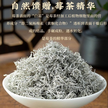 张家界原产地芽尖莓茶国家地理标志产品自产自销产地直发