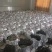 张家界明前朵芽莓茶国家地理标志产品自产自销产地直发