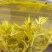 张家界明前朵芽莓茶国家地理标志产品自产自销产地直发