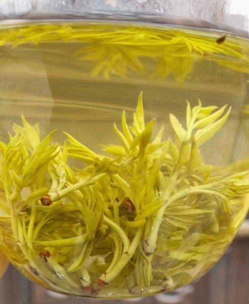 张家界明前朵芽莓茶国家地理标志产品自产自销产地直发