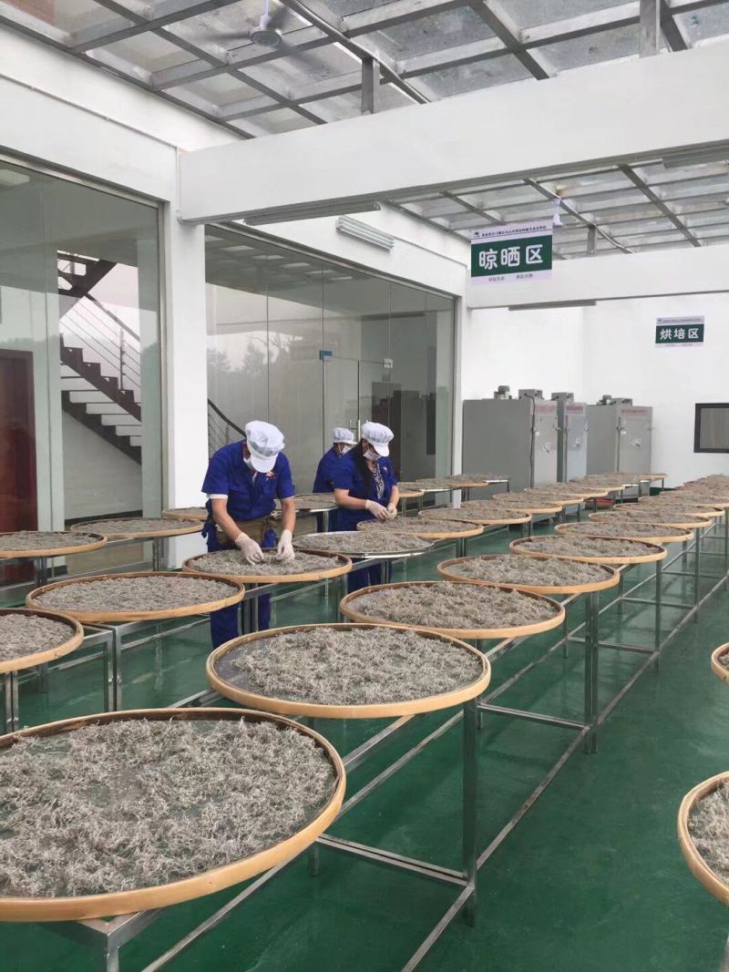 张家界明前朵芽莓茶国家地理标志产品自产自销产地直发