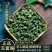 桑叶茶老树霜后桑叶茶正品新鲜霜后桑叶干新鲜桑叶冬桑叶泡茶
