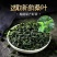 桑叶茶老树霜后桑叶茶正品新鲜霜后桑叶干新鲜桑叶冬桑叶泡茶