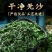 桑叶茶老树霜后桑叶茶正品新鲜霜后桑叶干新鲜桑叶冬桑叶泡茶