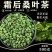 桑叶茶老树霜后桑叶茶正品新鲜霜后桑叶干新鲜桑叶冬桑叶泡茶