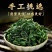 桑叶茶老树霜后桑叶茶正品新鲜霜后桑叶干新鲜桑叶冬桑叶泡茶