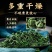 桑叶茶老树霜后桑叶茶正品新鲜霜后桑叶干新鲜桑叶冬桑叶泡茶