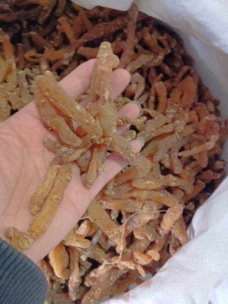 玉竹无硫批发中药材正宗东北整条新货煲汤泡水茶干货