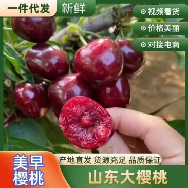 美早樱桃、先锋、对接电商、抖音、网红主播带货支持一件代发