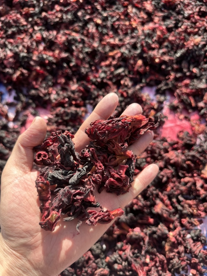 安徽云南广西洛神花干花玫瑰茄花茶泡茶泡水大货进口