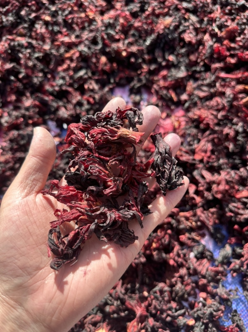 安徽云南广西洛神花干花玫瑰茄花茶泡茶泡水大货进口
