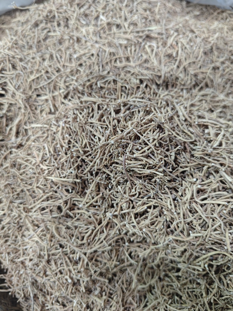 徐长卿：国内大部分地区均有出产，秋季采挖，洗净，阴干备用