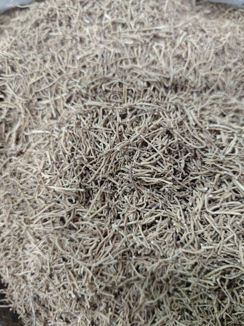 徐长卿：国内大部分地区均有出产，秋季采挖，洗净，阴干备用