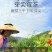 张家界原产地芽尖莓茶国家地理标志产品自产自销产地直发