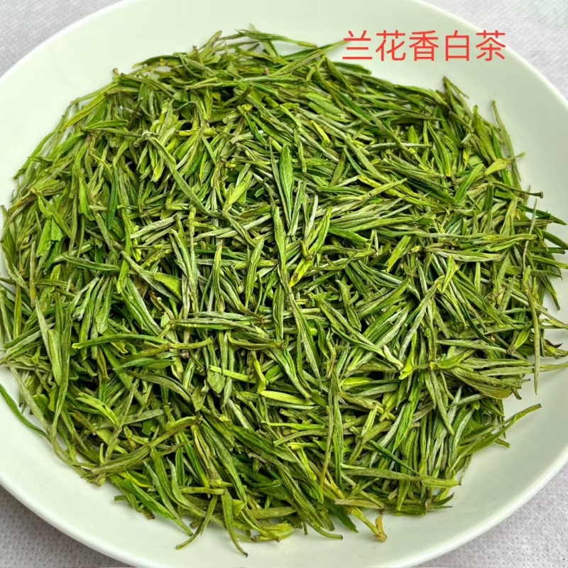 安吉白茶明前茶