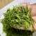 安吉白茶明前茶