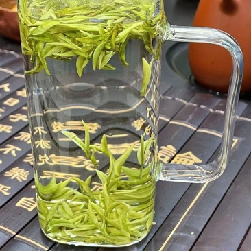 高山头采安吉白