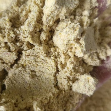 精品玉米次粉，常年有货，质量有保证，可以随时视屏看货