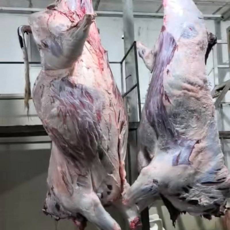西门塔尔四分体牛肉