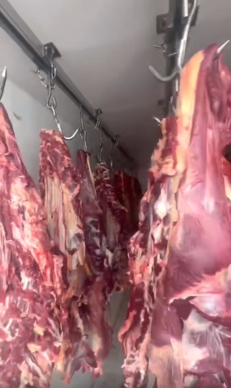 西门塔尔四分体牛肉