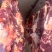 西门塔尔四分体牛肉