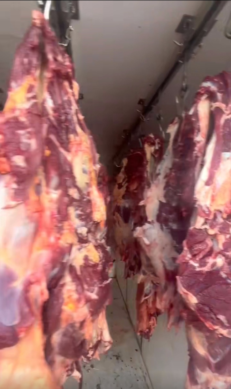 西门塔尔四分体牛肉