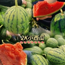 全美2K西瓜大量供应产地诚信批发品质保证欢迎来电