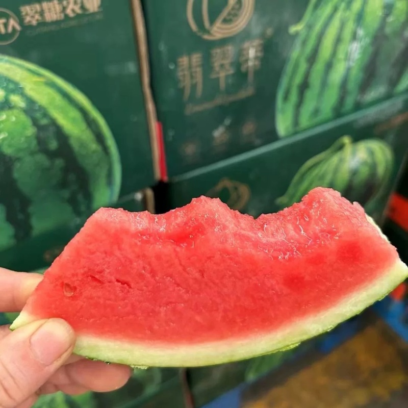 精选美都西瓜麒麟西瓜对接电商市场商超保质保量可售后一条龙