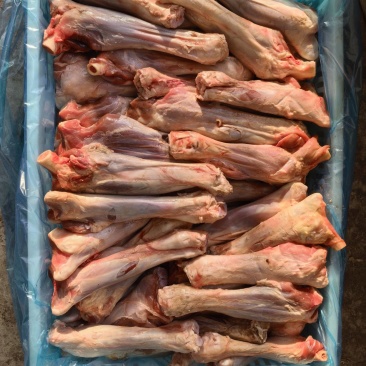 前棒后棒羊前腿价格便宜羔羊前后腿吨起价更优