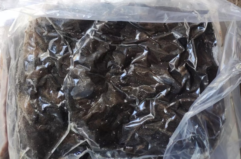 国产纯干牛百叶牛毛肚，火锅店专用量大可以优惠