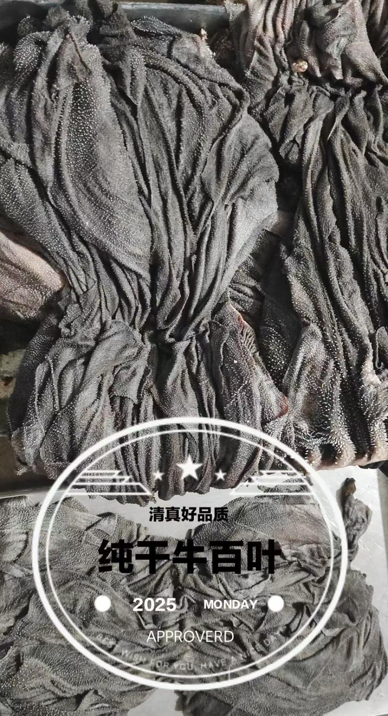 国产纯干牛百叶牛毛肚，火锅店专用量大可以优惠