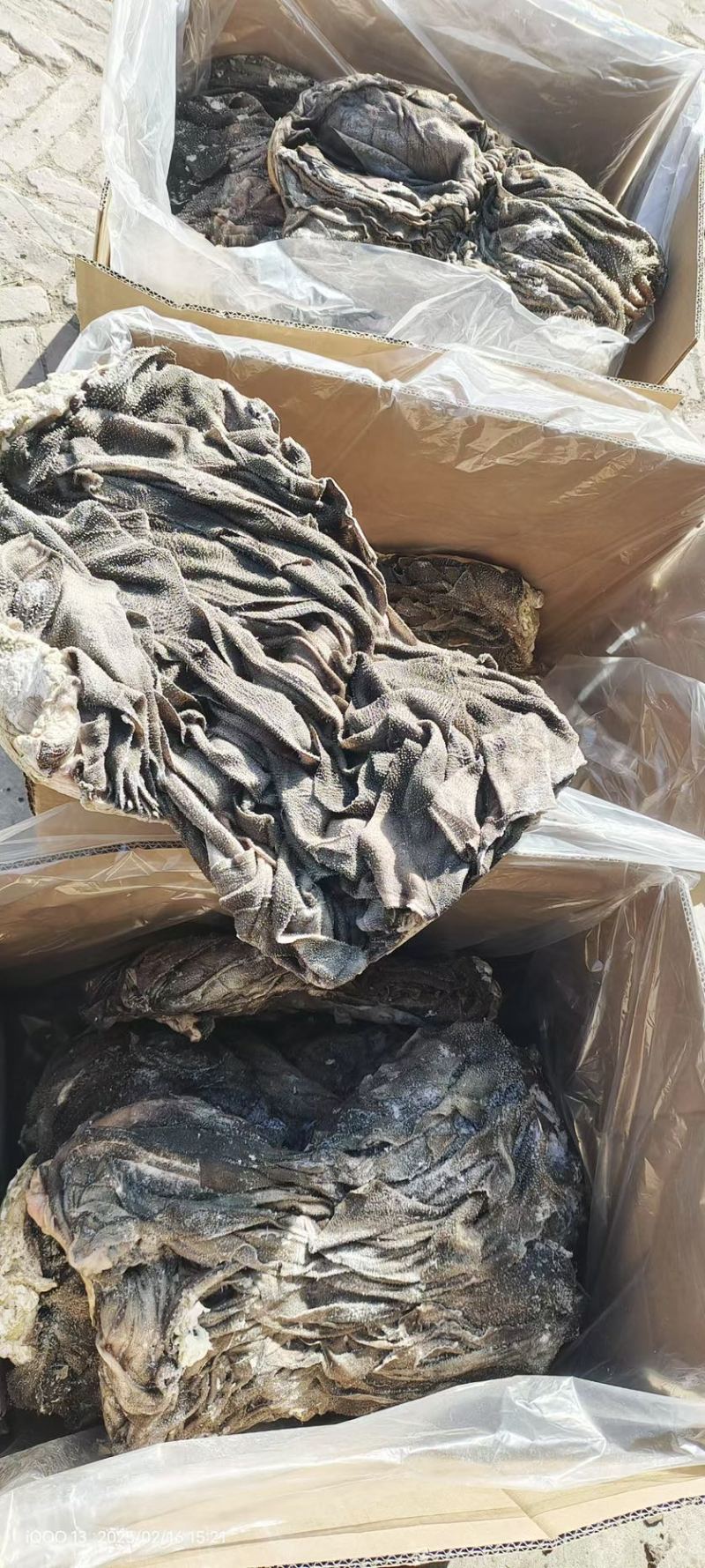 国产纯干牛百叶牛毛肚，火锅店专用量大可以优惠