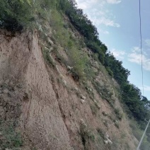 纯绒山羊跑戒子