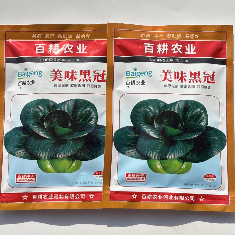 美味黑冠油亮苏州青种子耐寒春夏秋播黑叶青菜种籽四季蔬菜
