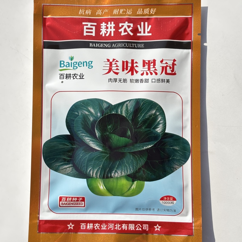 美味黑冠油亮苏州青种子耐寒春夏秋播黑叶青菜种籽四季蔬菜