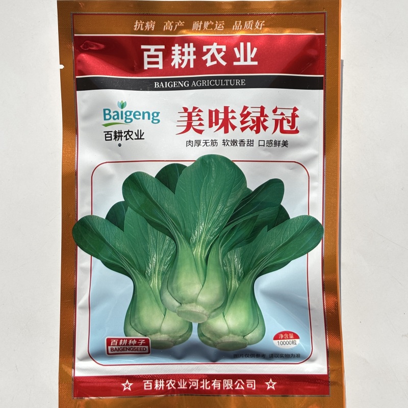 绿冠青梗菜种子四季种植