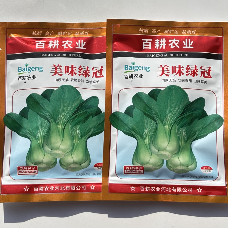 绿冠青梗菜种子四季种植