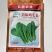 美味鸡毛菜种子适合做鸡毛菜或小菜栽培生长速度快易栽培