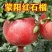 蒙阳红石榴树苗、产量高、不裂果、口感甘甜多汁，个头大