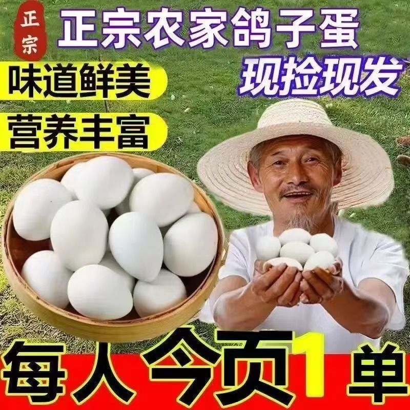 鸽子蛋批发全国发货包邮