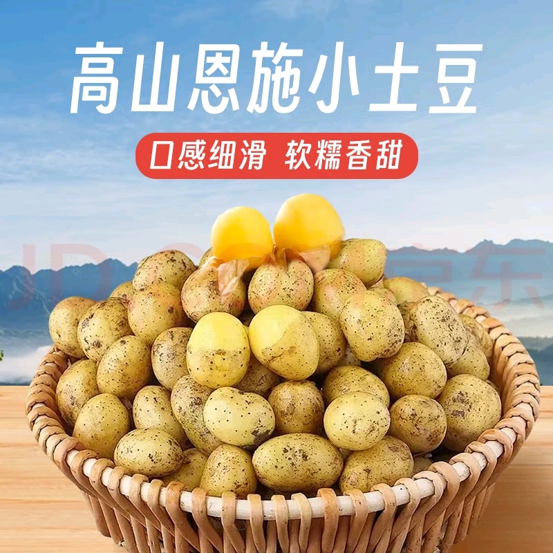 恩施小土豆迷你土豆黄皮黄心马尔科大中小土豆