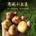 恩施小土豆迷你土豆黄皮黄心马尔科大中小土豆