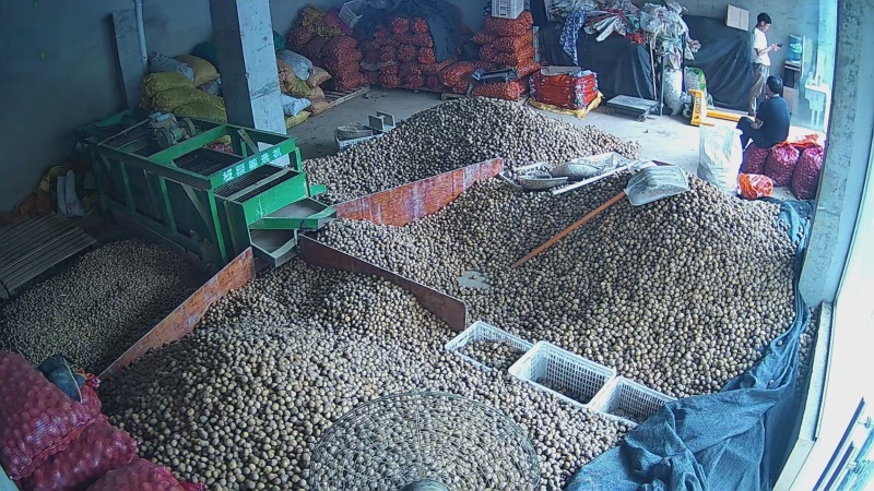 恩施小土豆迷你土豆黄皮黄心马尔科大中小土豆