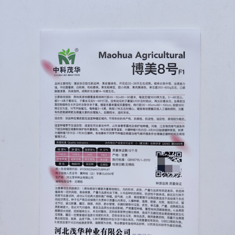 博美8号黑皮甜瓜种子高产四季绿肉橘瓤超甜高酥脆薄皮香瓜种