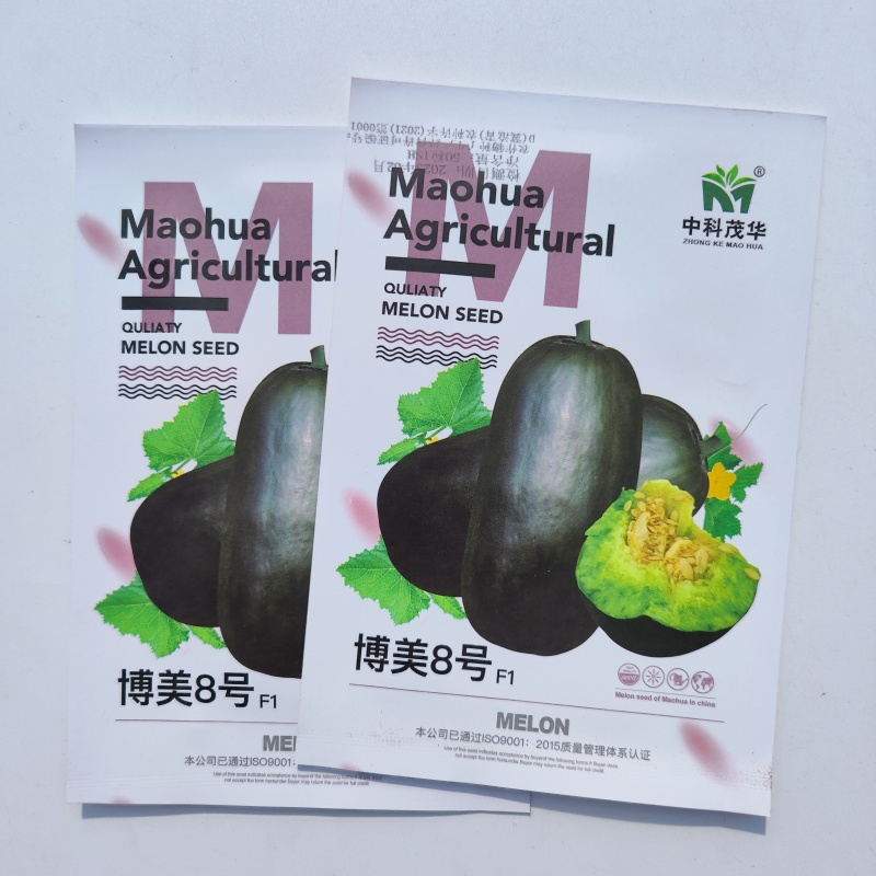 博美8号黑皮甜瓜种子高产四季绿肉橘瓤超甜高酥脆薄皮香瓜种