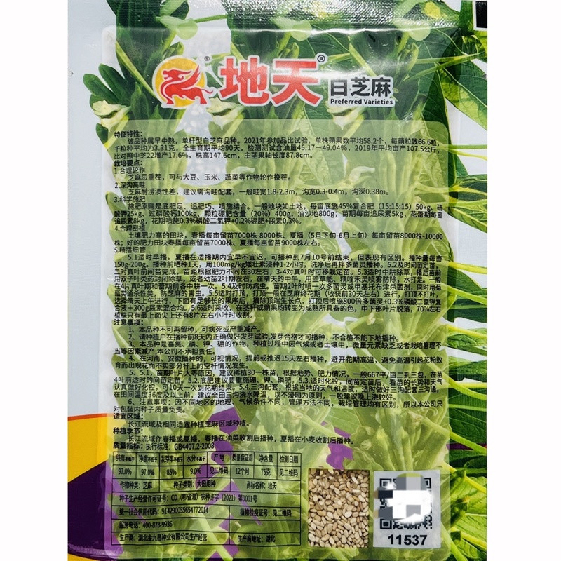 农帛地天白芝麻种子中熟单杆矮株高油高产芝麻种籽耐旱粗杆白